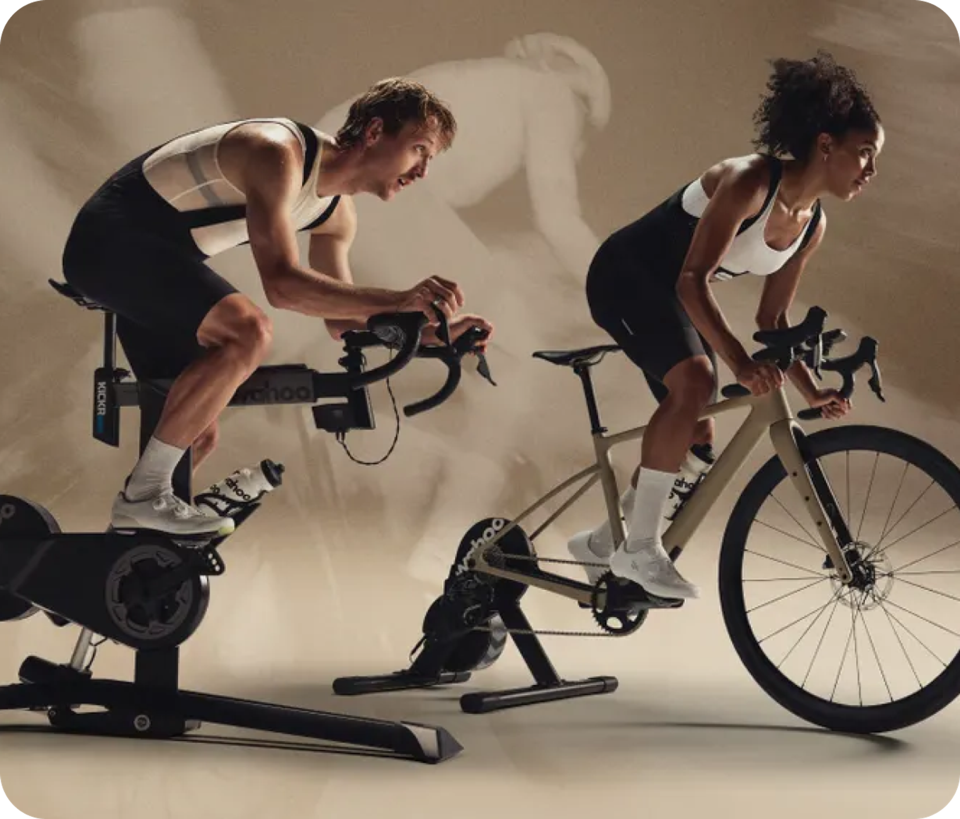 How Truemed Became a Top 10 Affiliate Partner for Wahoo Fitness