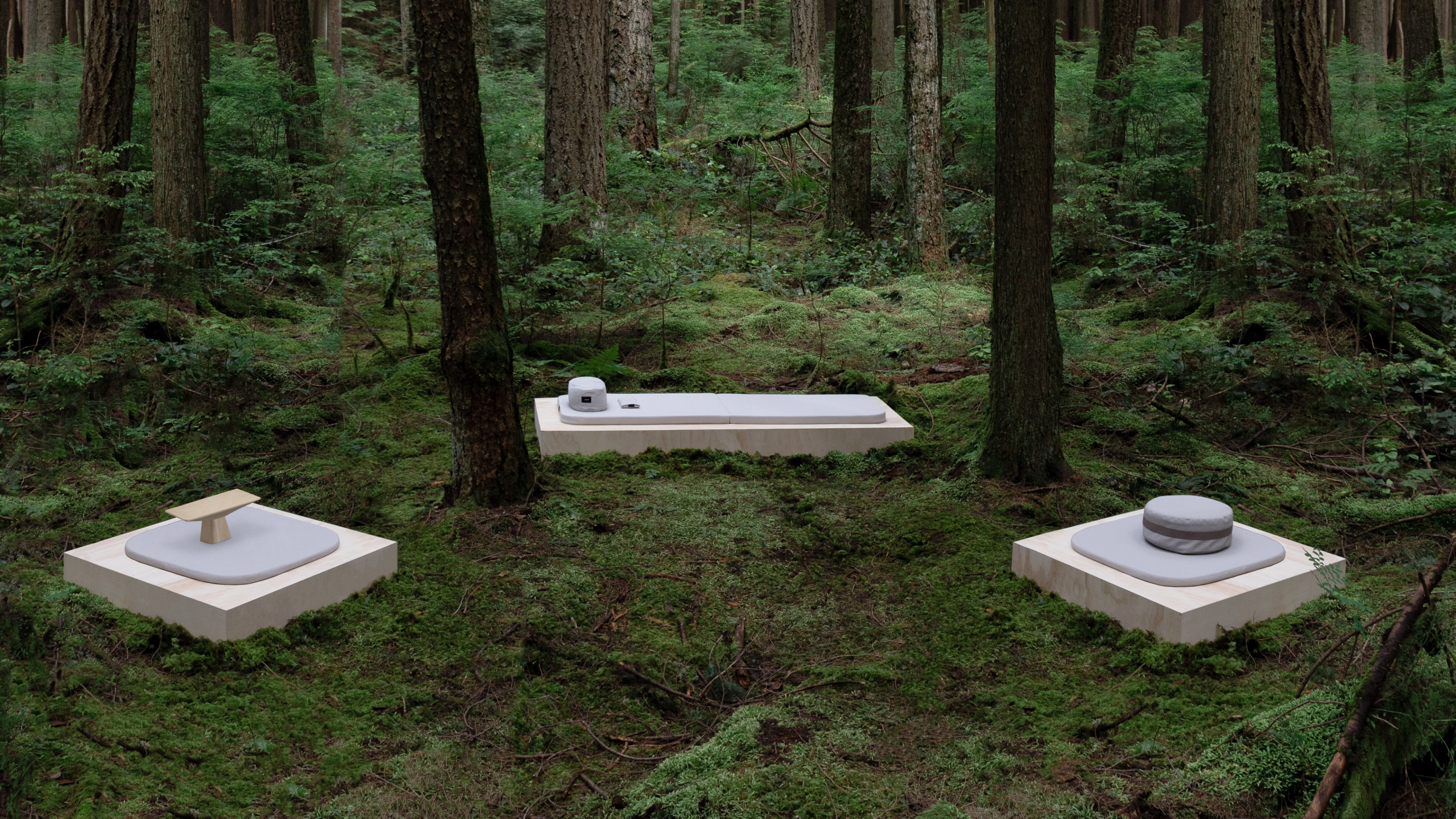 Walden