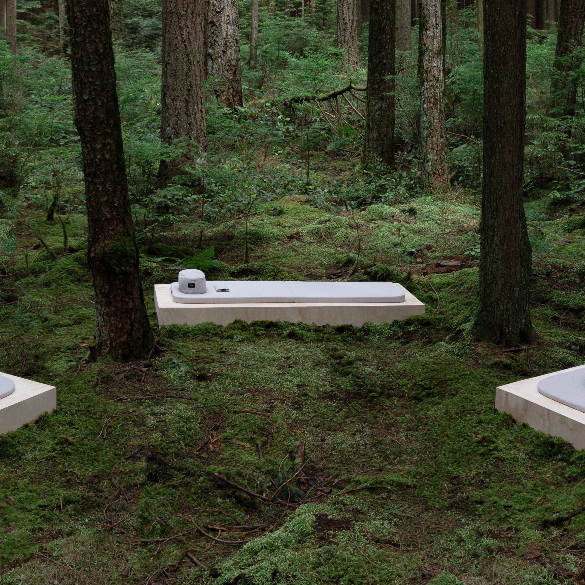 Walden