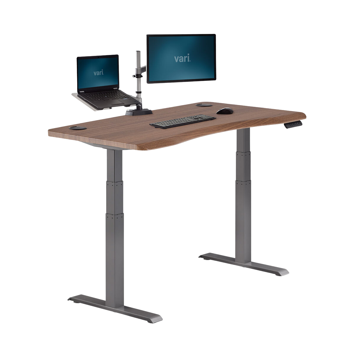 Ergo Electric Standing Desk 54x26