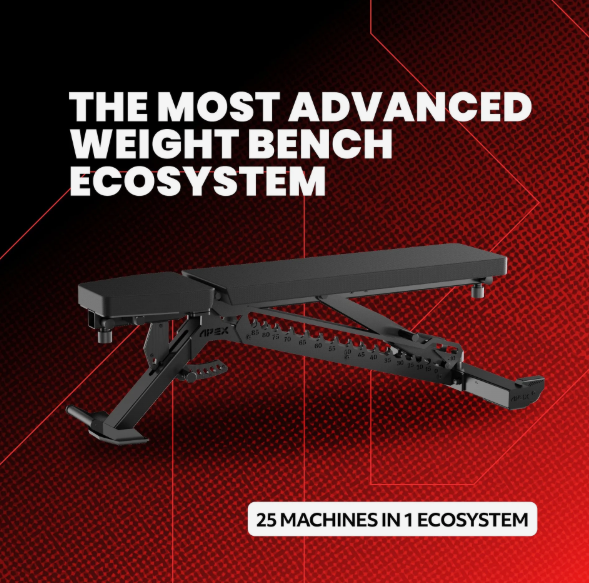 APEX Adjustable Bench