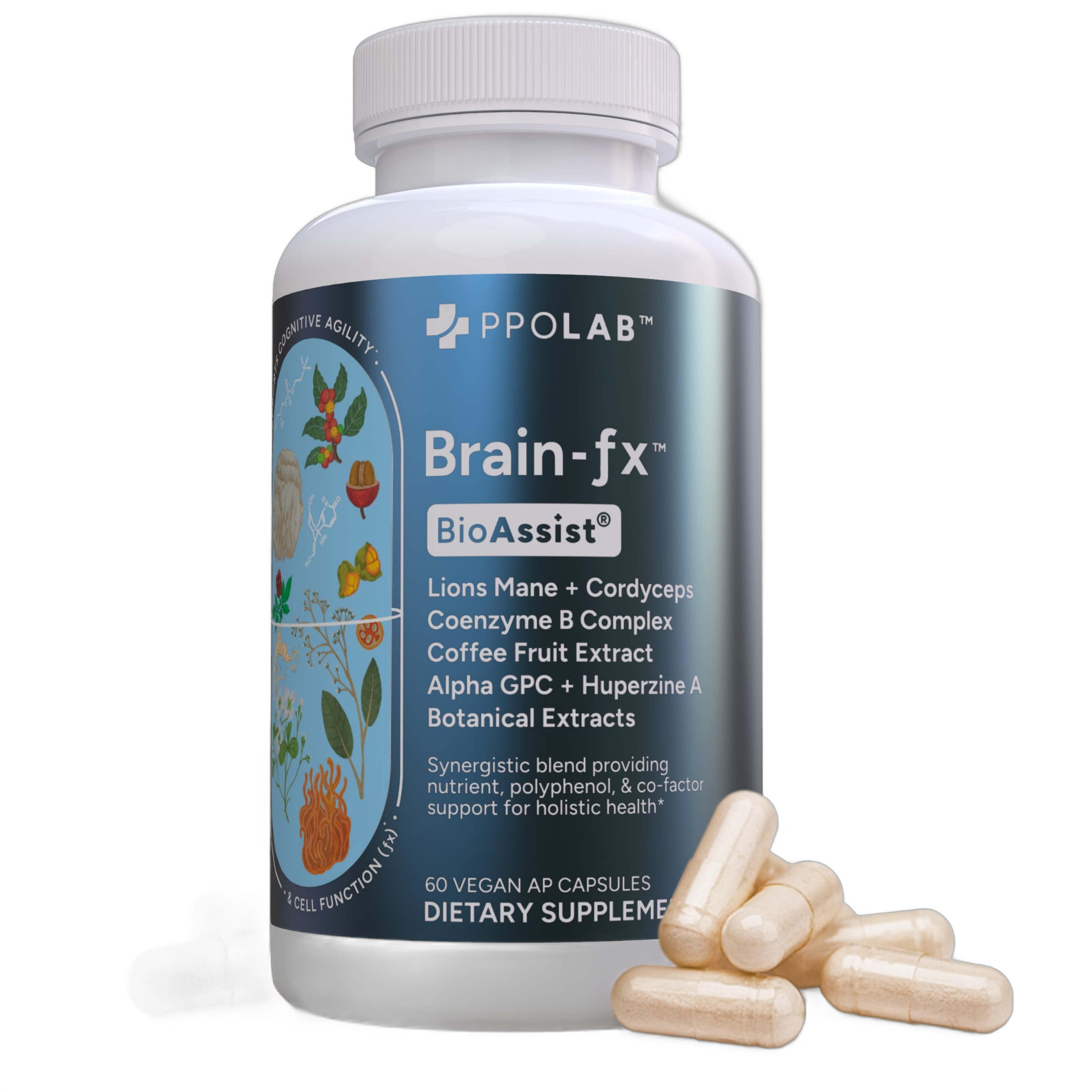 Brain-fx - Pack of 1