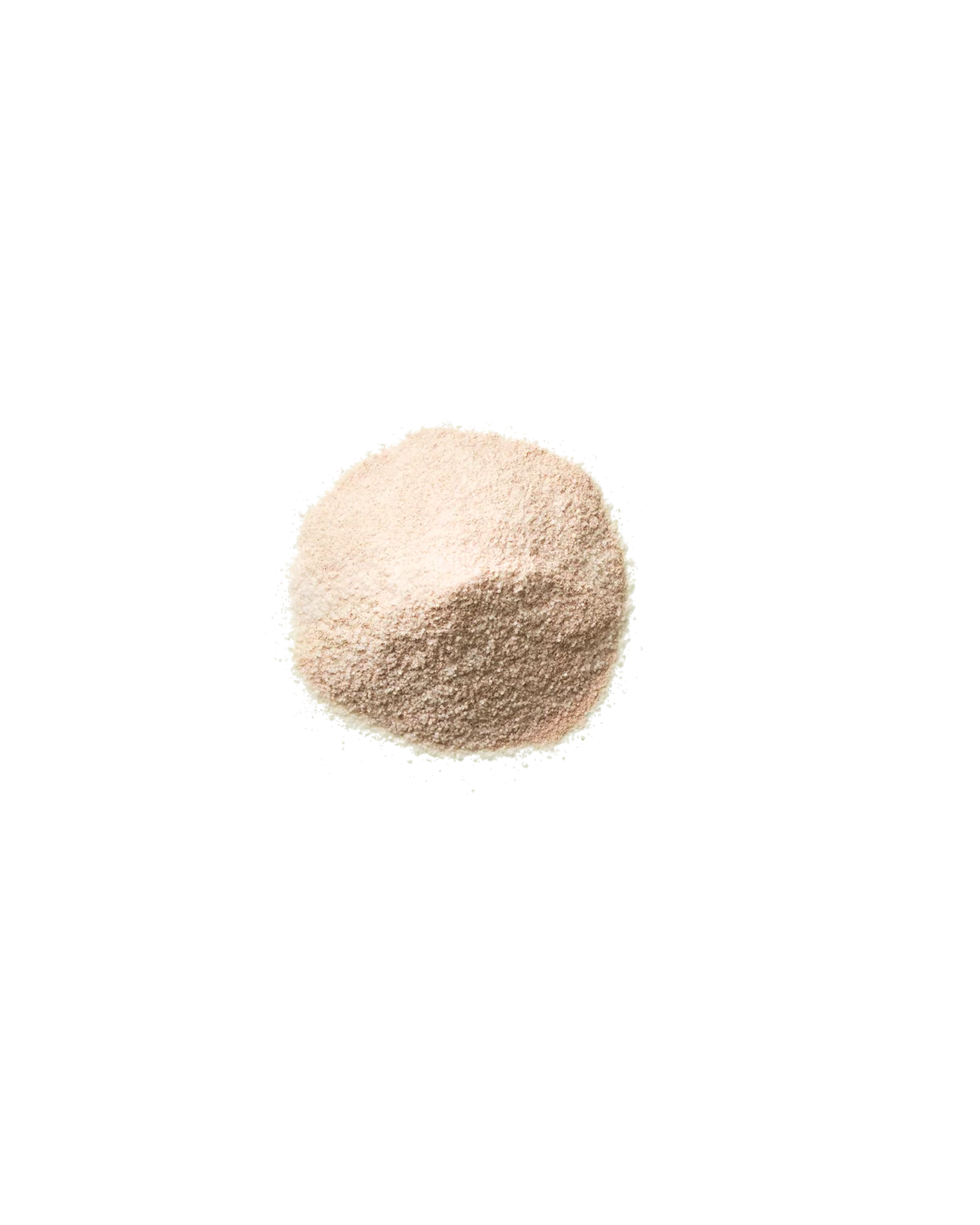 Promix Tropical Mango Debloat Prebiotic + Probiotic