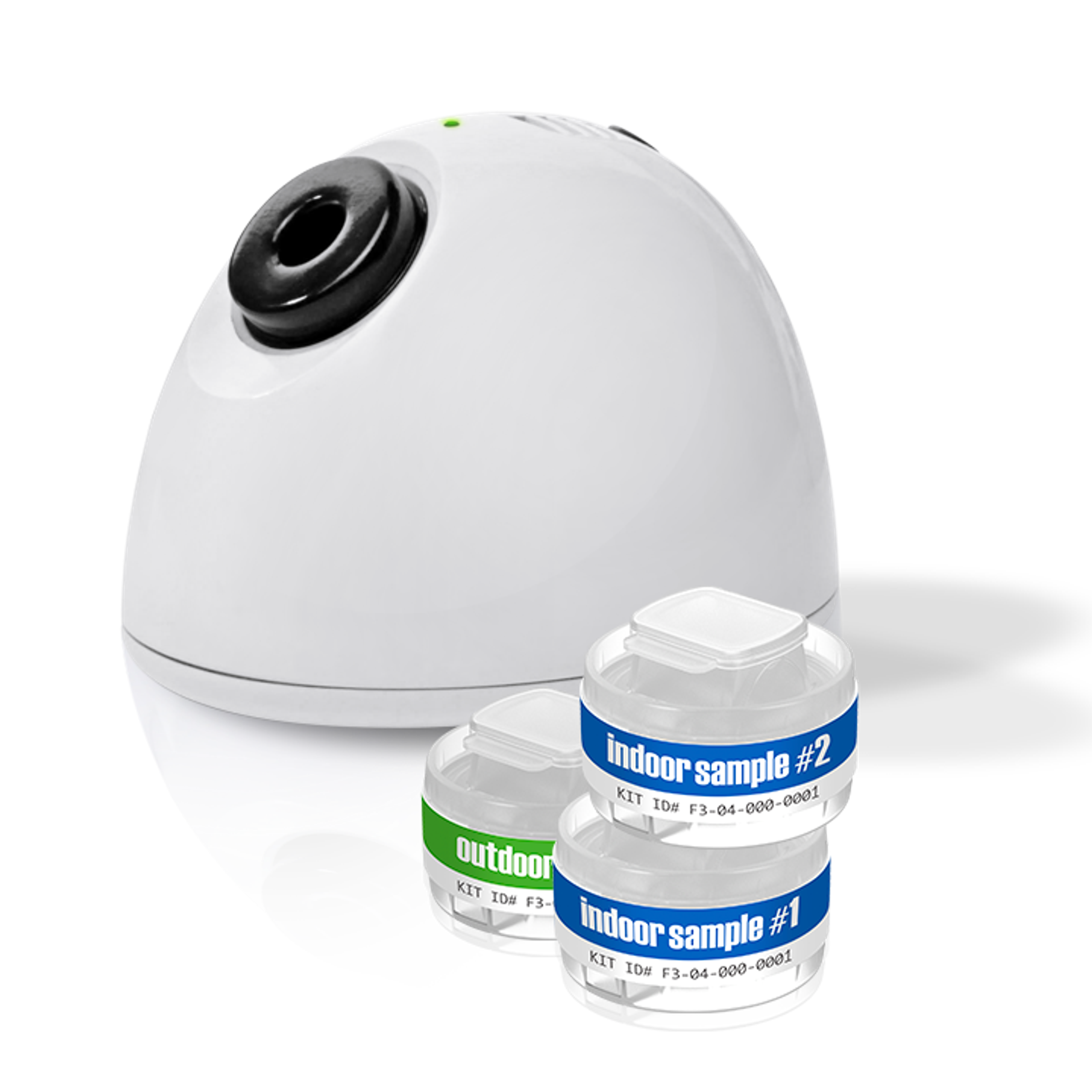 GOT MOLD? 2-Room Kit