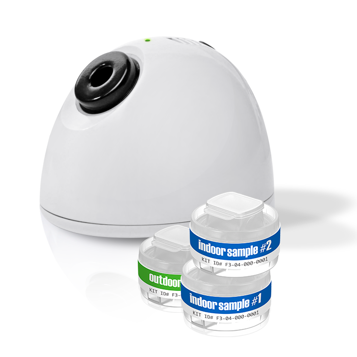 GOT MOLD? 2-Room Kit