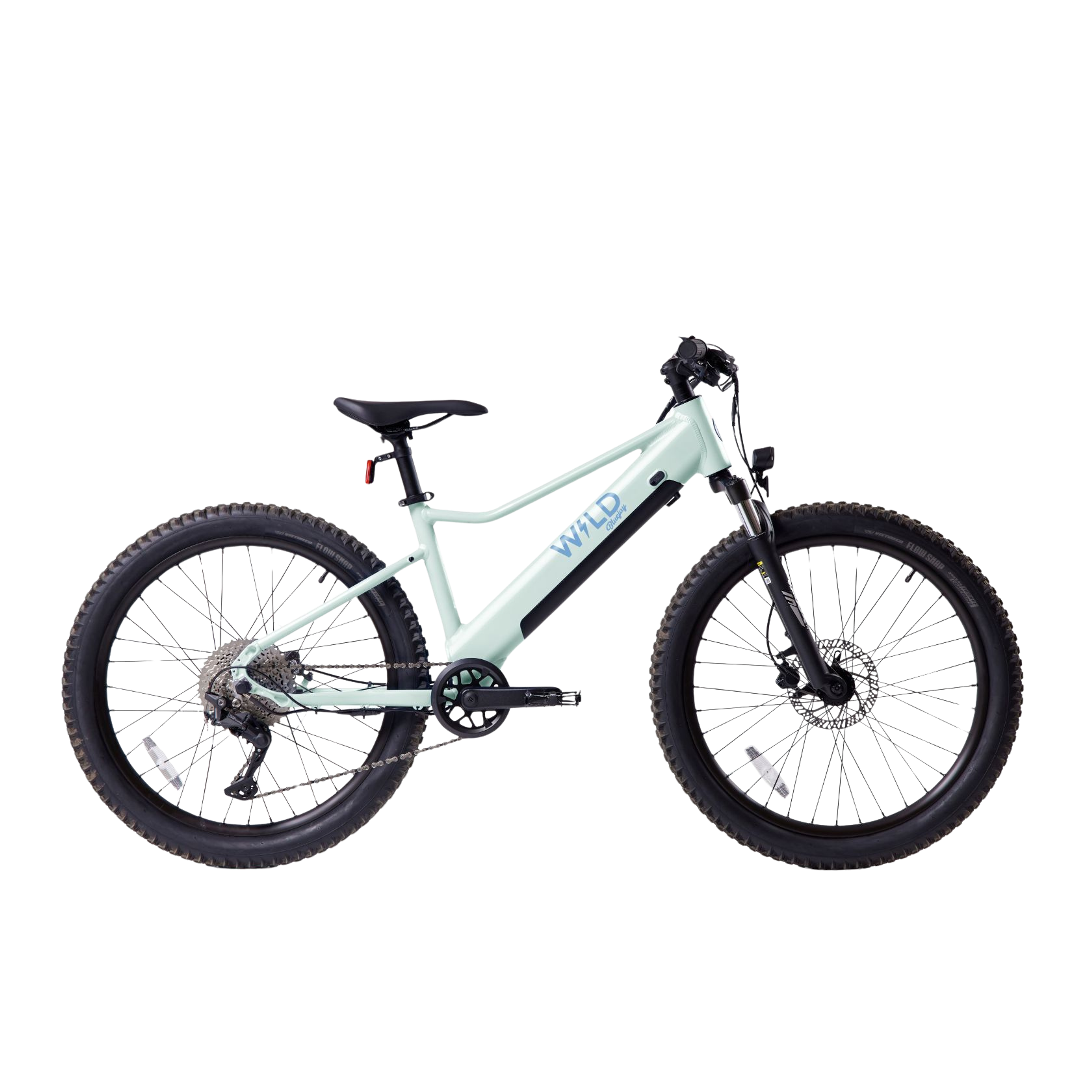 Bluejay WILD: Adult - Mint Green Electric Bike