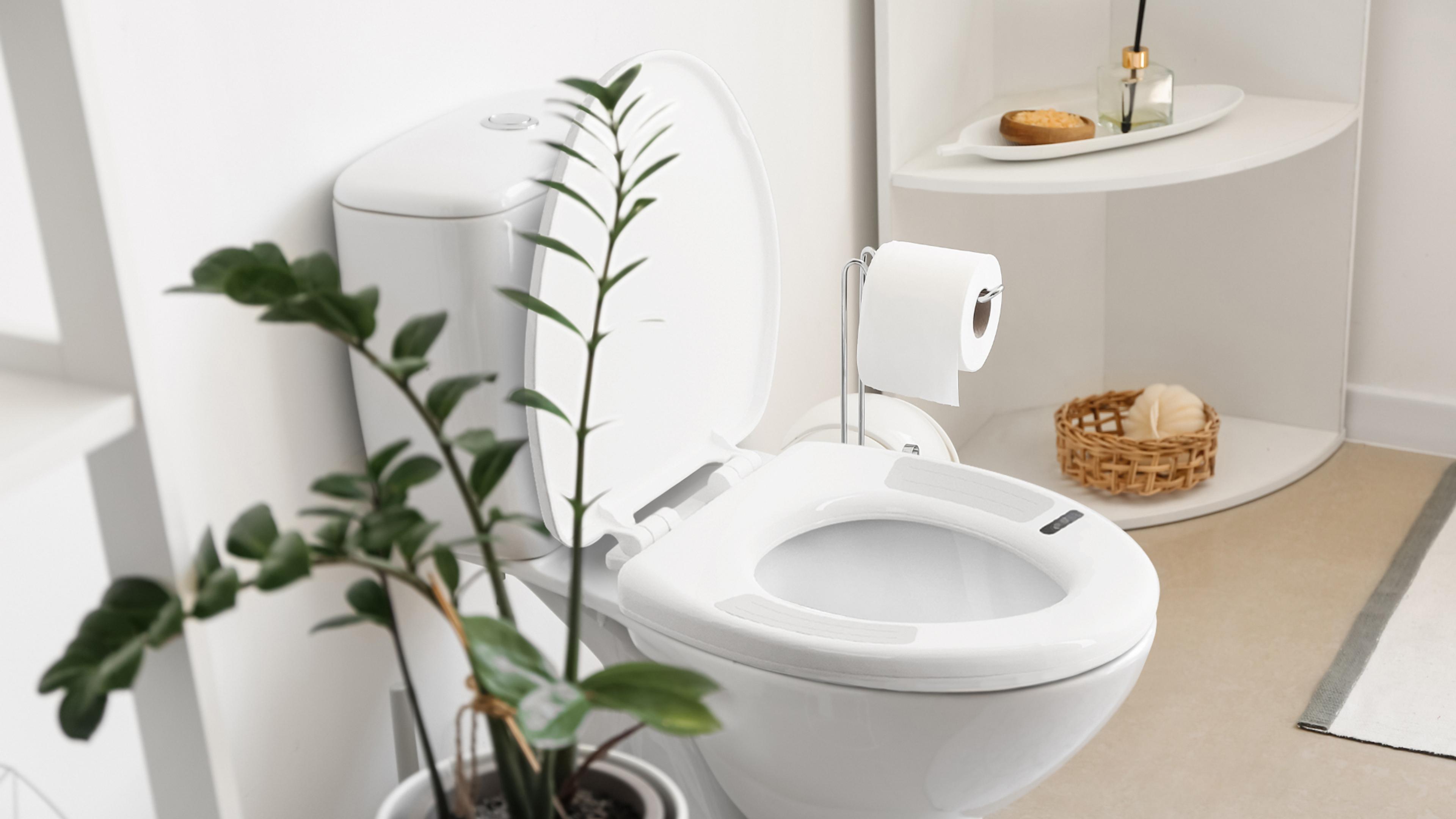 White toilet with bidet seat, toilet paper, and a potted plant in a bathroom.