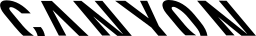 Canyon Bicycles logo