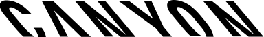 Canyon Bicycles logo