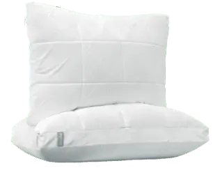 The Nuzzle Pillow - Standard