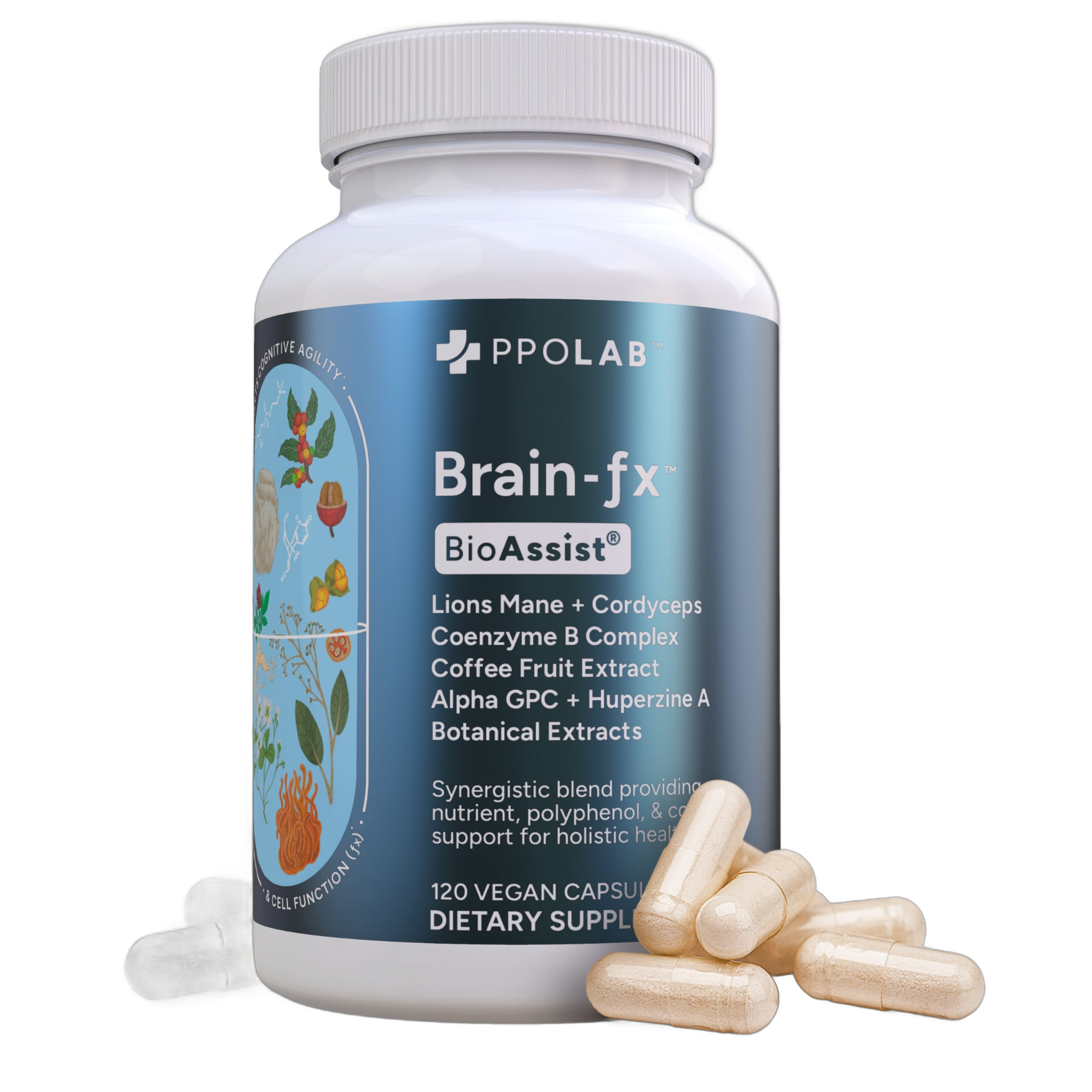 Brain-fx Value Size