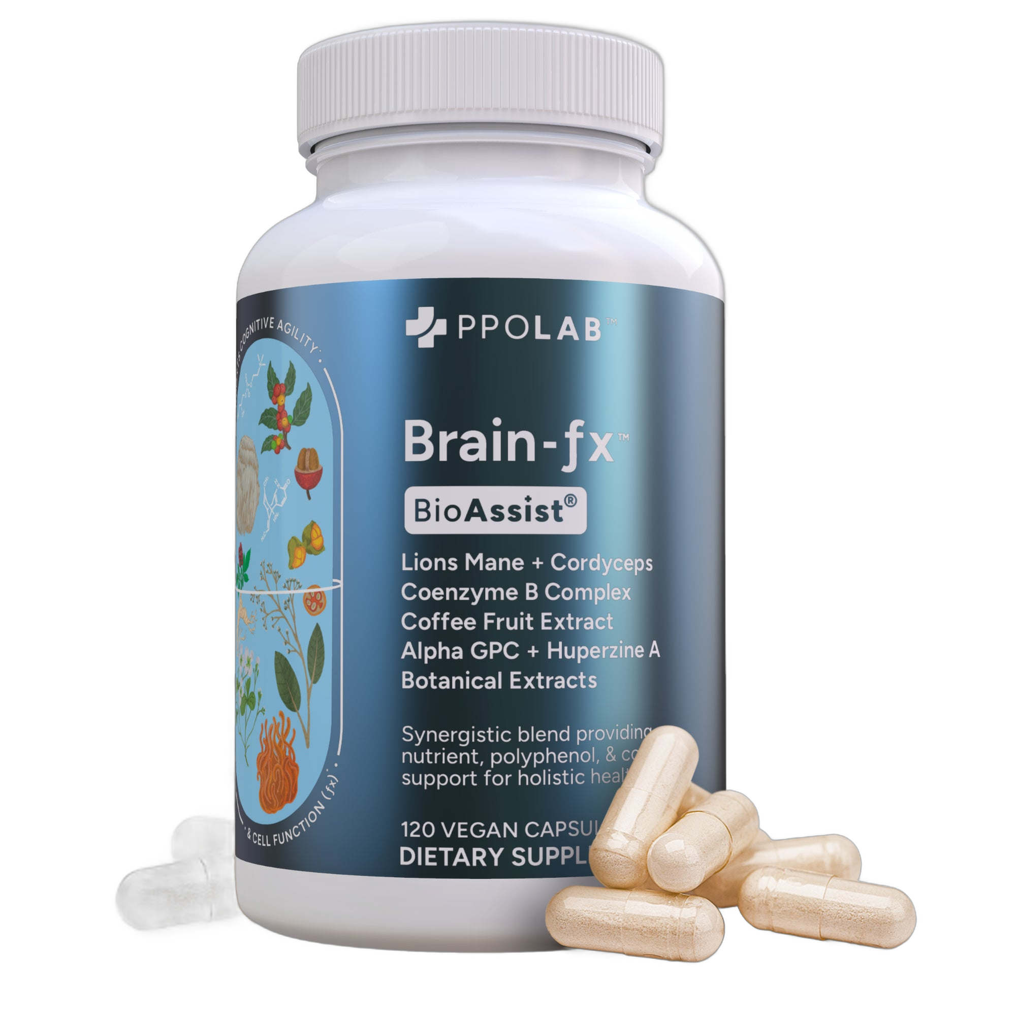 Brain-fx Value Size