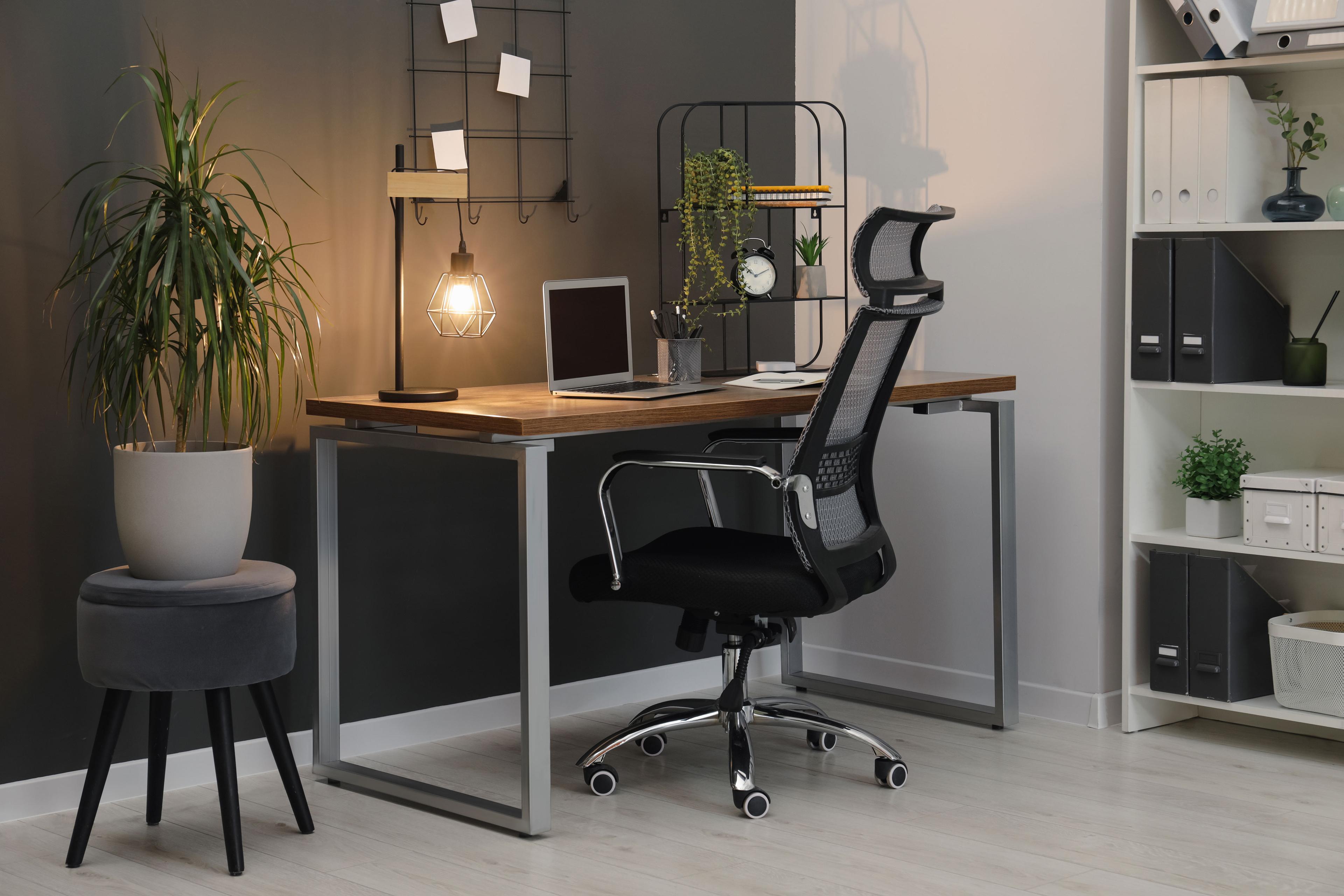 Ergonomics & Support category