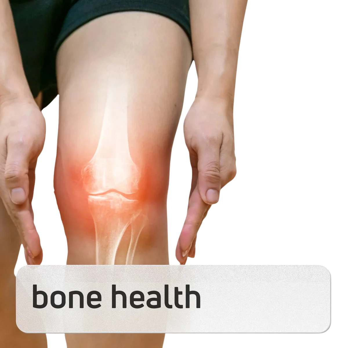 Product image for Bone Health Panel