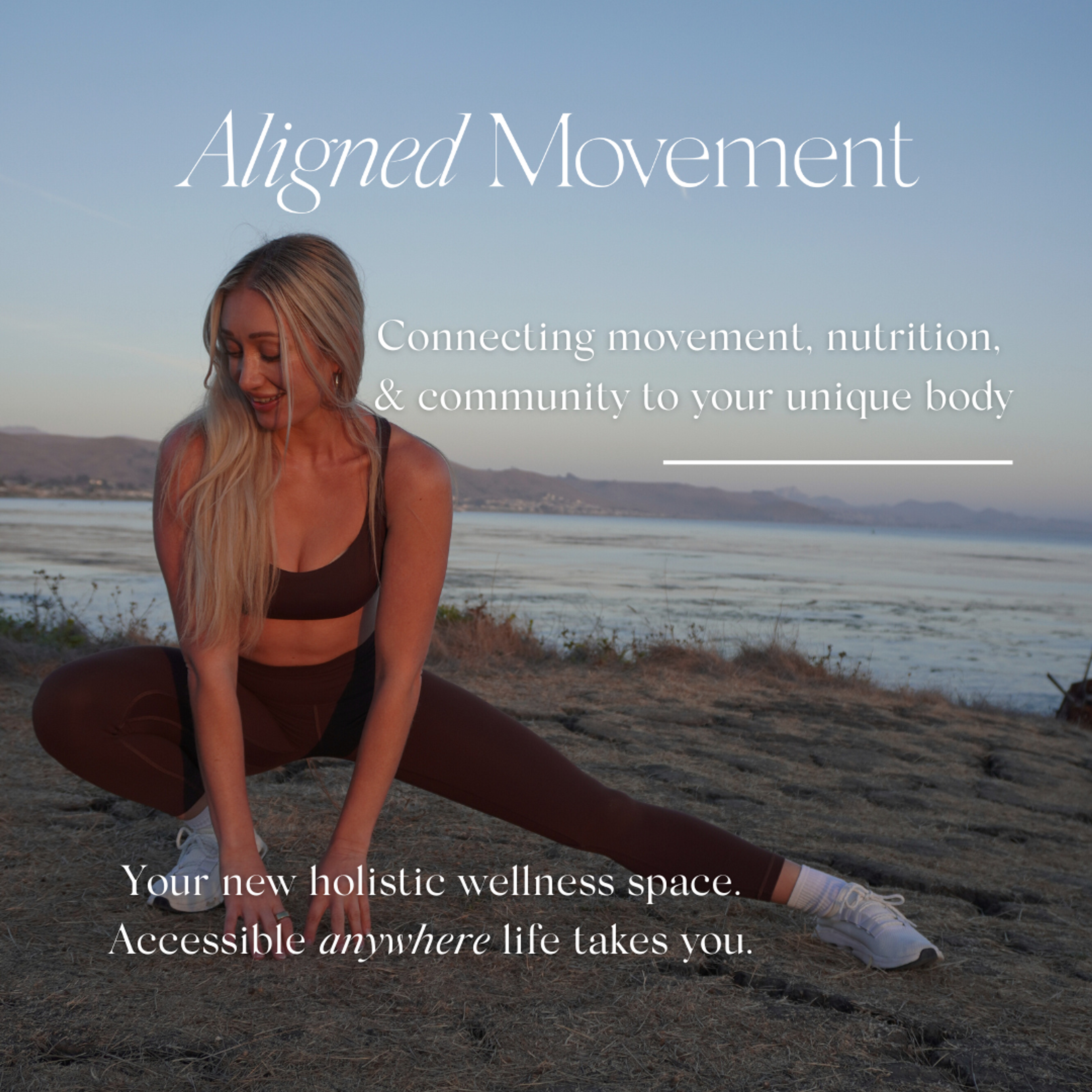 Hero image for Aligned Movement