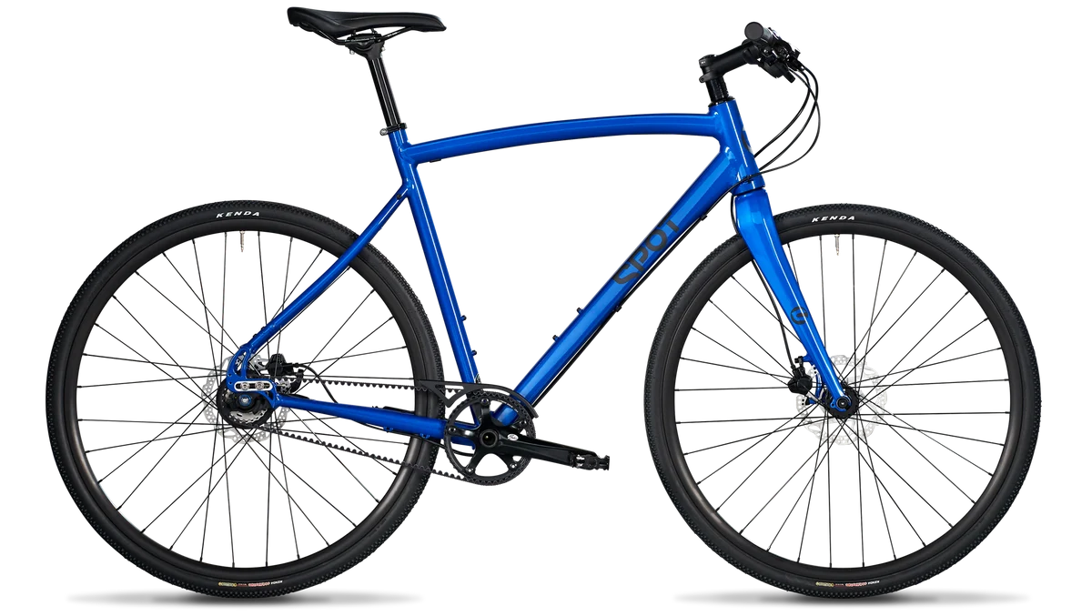 Product image for Acme in Shelby Blue