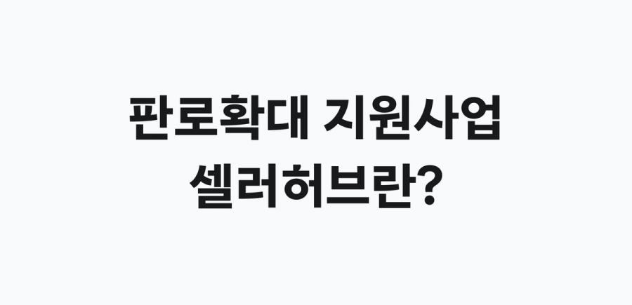 판로확대 지원사업 셀러허브 - 쇼핑몰 통합관리 솔루션을 지원하는 사업 소개