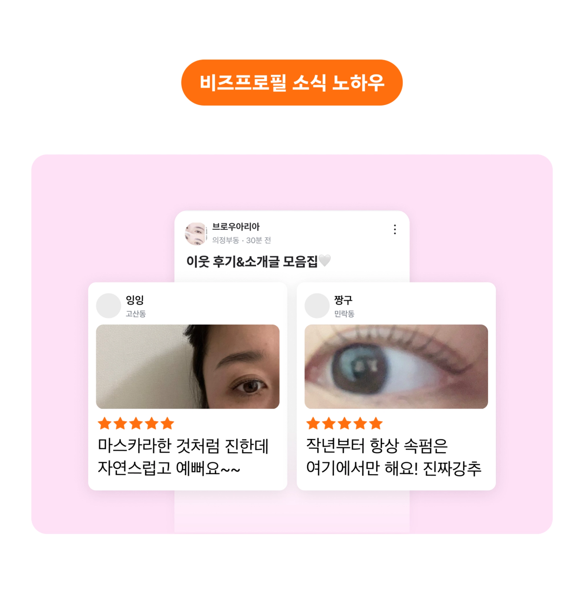 브로우아리아_소식