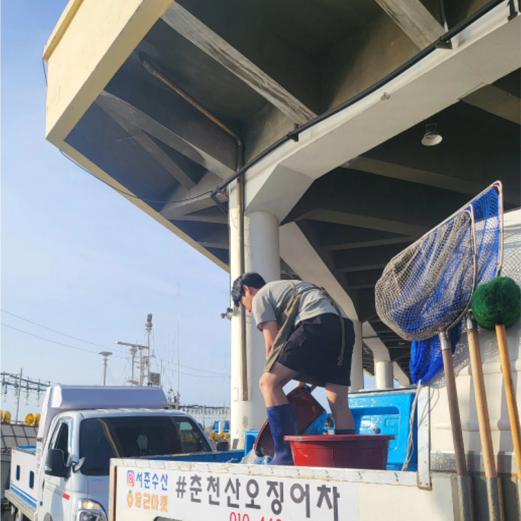 춘천산오징어차