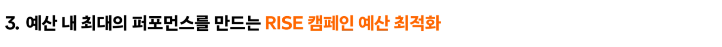 3. 예산 내 최대의 퍼포먼스를 만드는 RISE 캠페인 예산 최적화