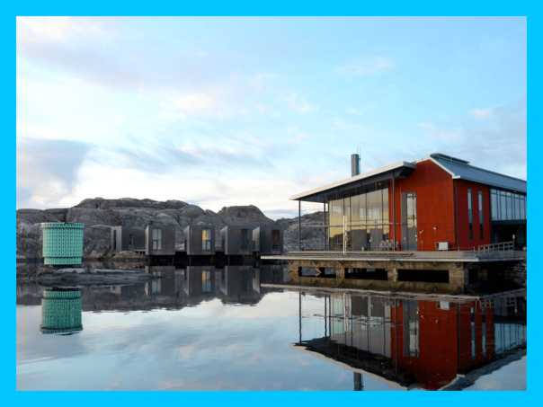 article-5270df52-6ab5-47bf-8392-4c64ef0ec9e7.jpg