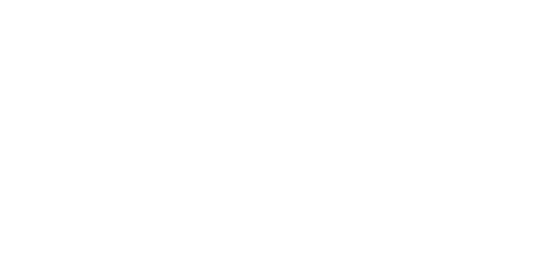 New York Times Logo
