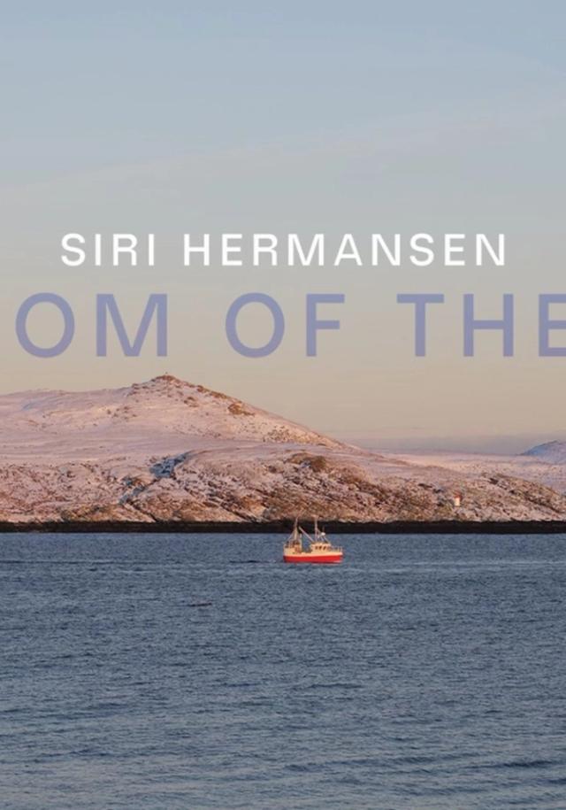 freedom of the seas plakat