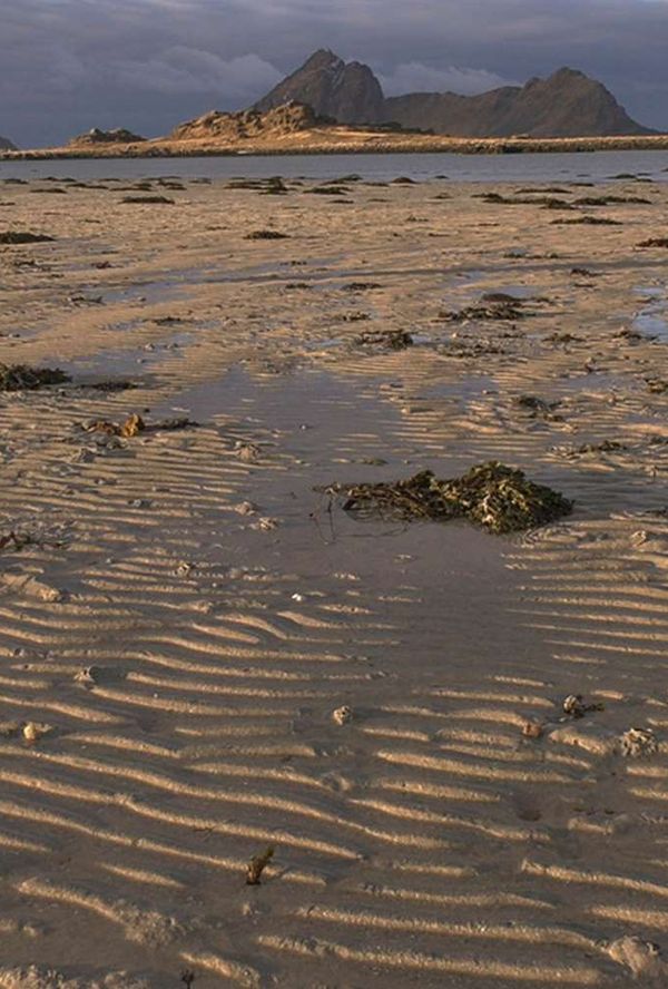 Bilde fra 'SMILE og VINKE'