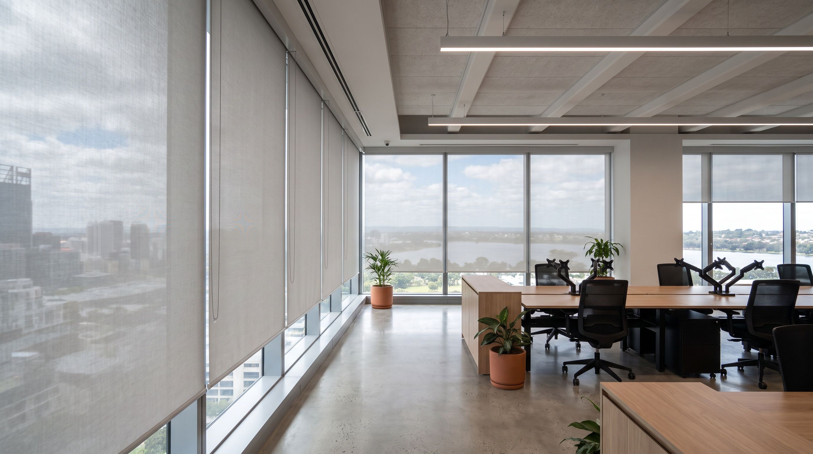 An office floor with sunscreen roller blinds along floor-to-ceiling windows