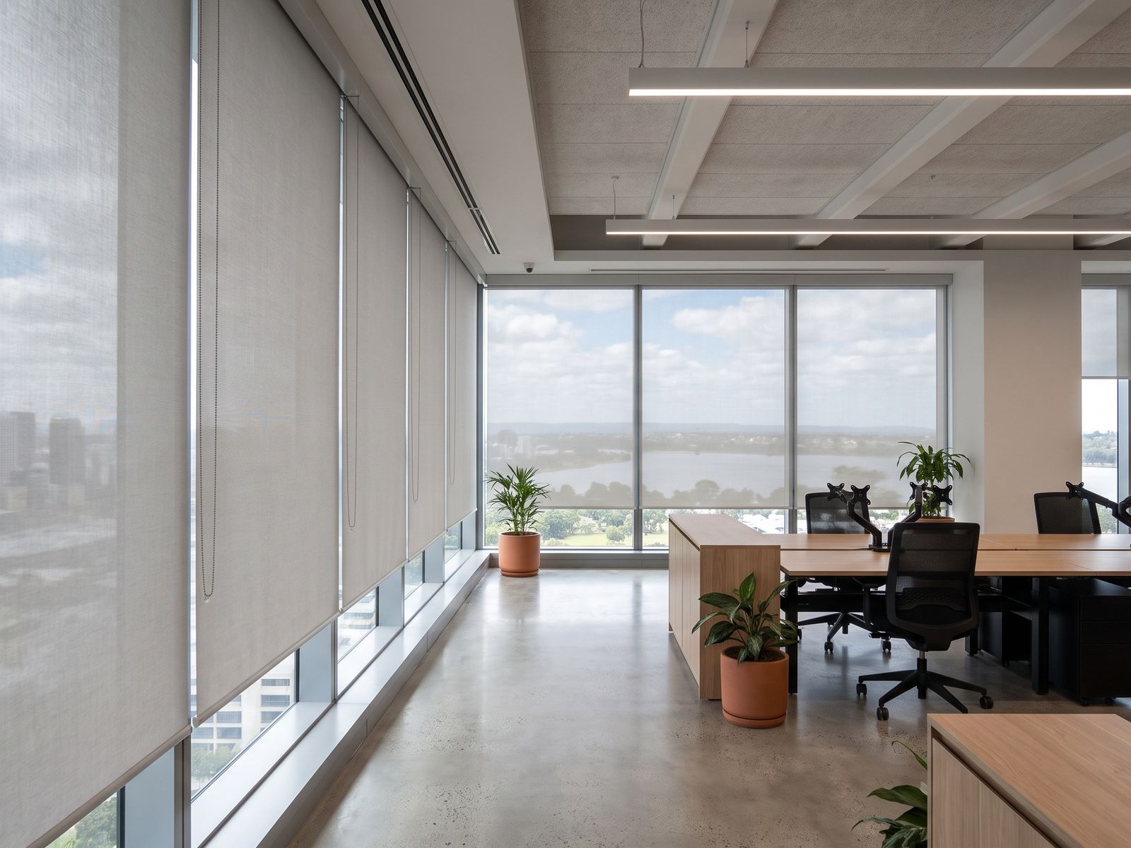 An office floor with sunscreen roller blinds along floor-to-ceiling windows