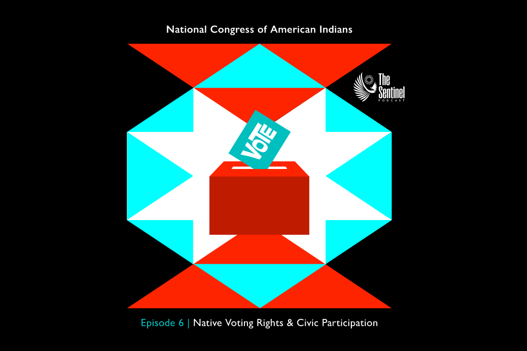 Native Voting Rights and Civic Participation 