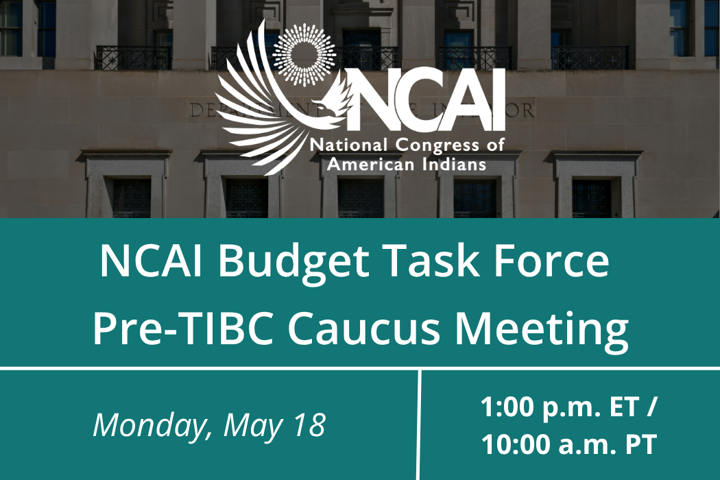 NCAI Budget Task Force  Pre-TIBC Caucus Meeting