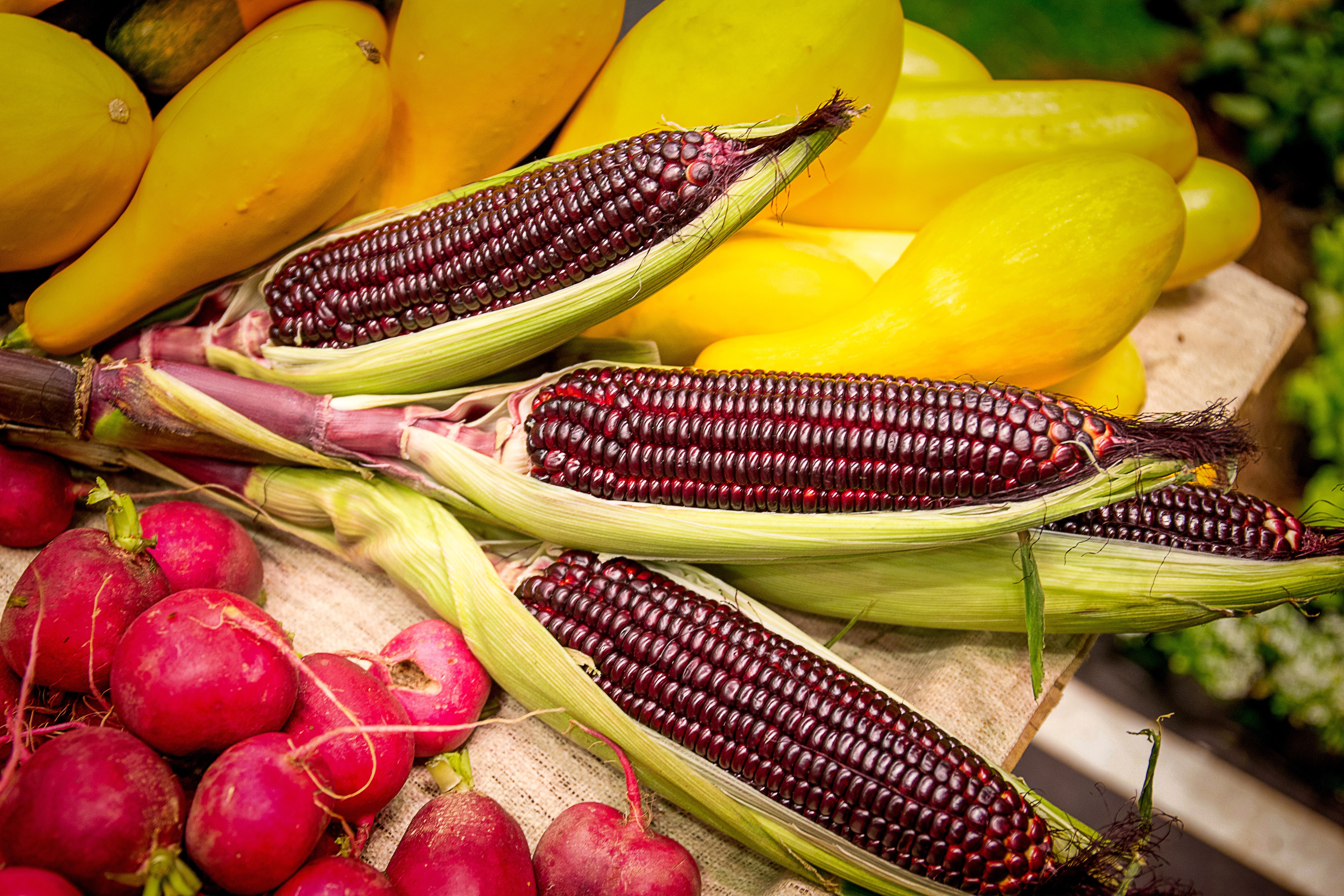 fresh corn on table in top view