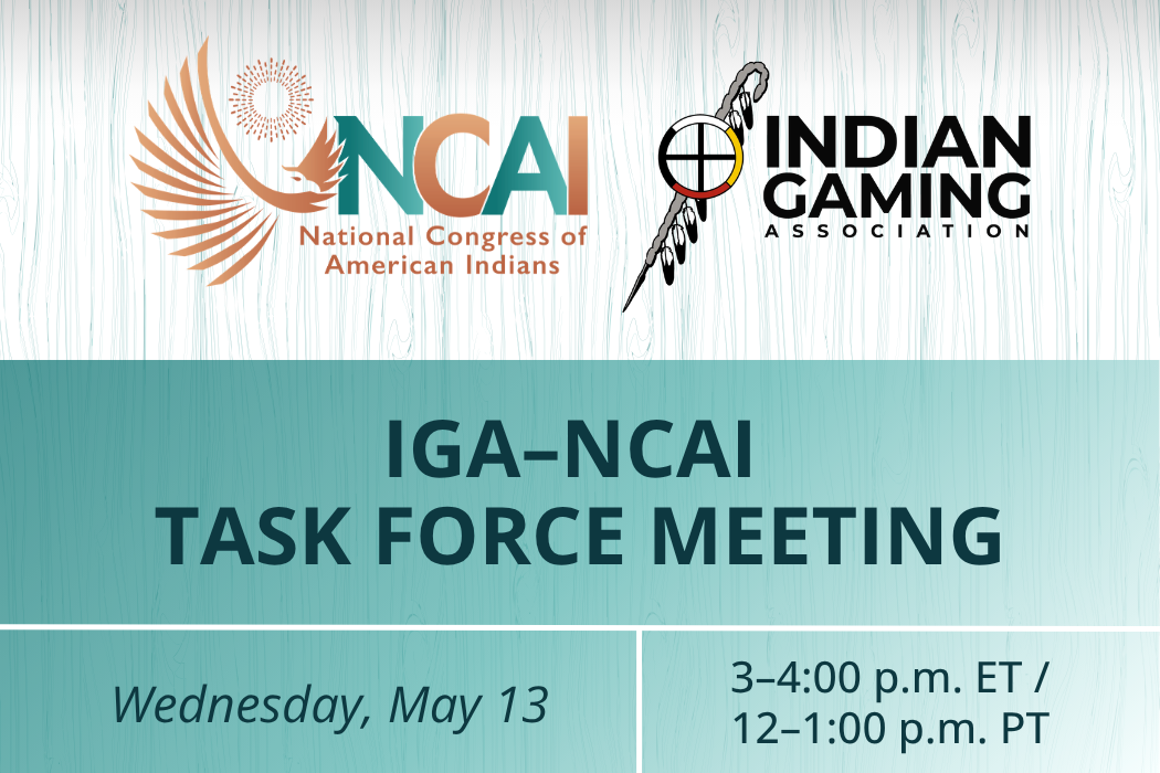IGA–NCAI Task Force Meeting