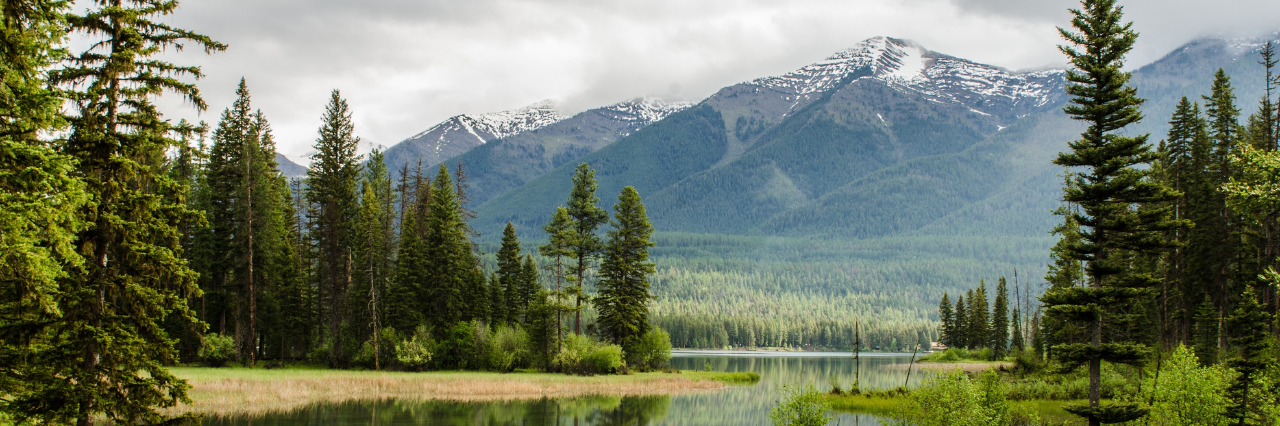 Upcoming Virtual Trainings for Tribal Consultation and Compliance with Shipley Group
