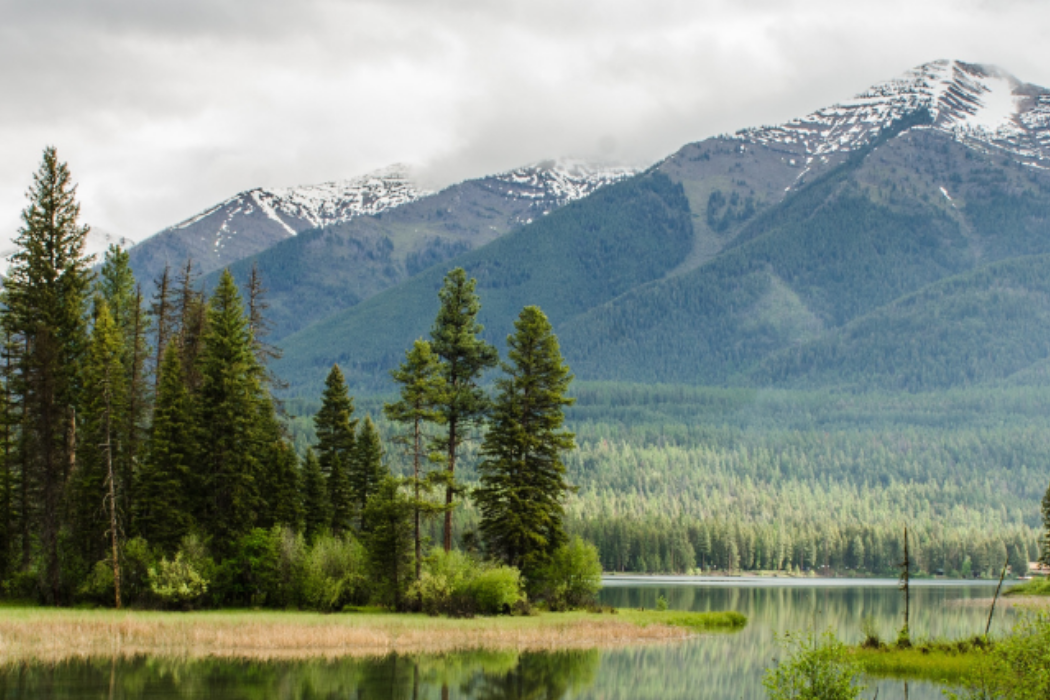 Upcoming Virtual Trainings for Tribal Consultation and Compliance with Shipley Group