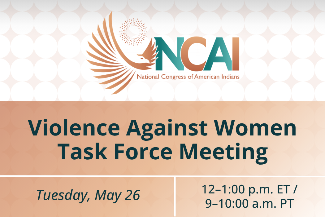 Violence Against Women Task Force Meeting