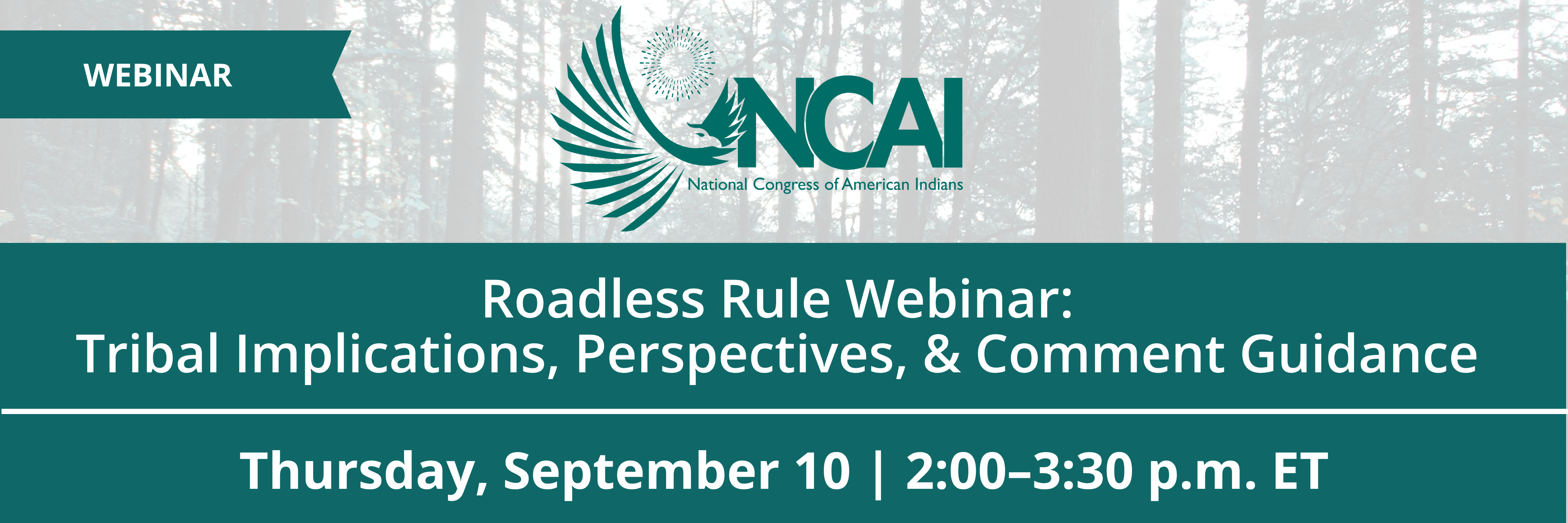 Roadless Rule Webinar: Tribal Implications, Perspectives, and Comment Guidance