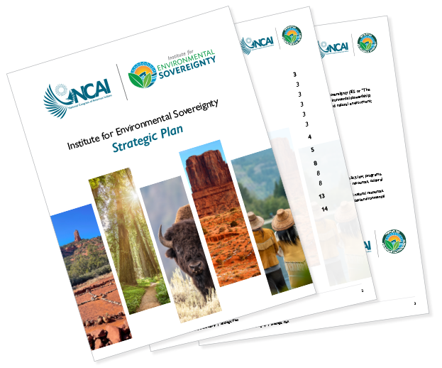 A few pages of the IES Strategic Plan fanned out to show a bit of each page, including the cover page that features a desert scene, redwoods, bison, western plateau, and people in traditional clothing overlooking a body of water