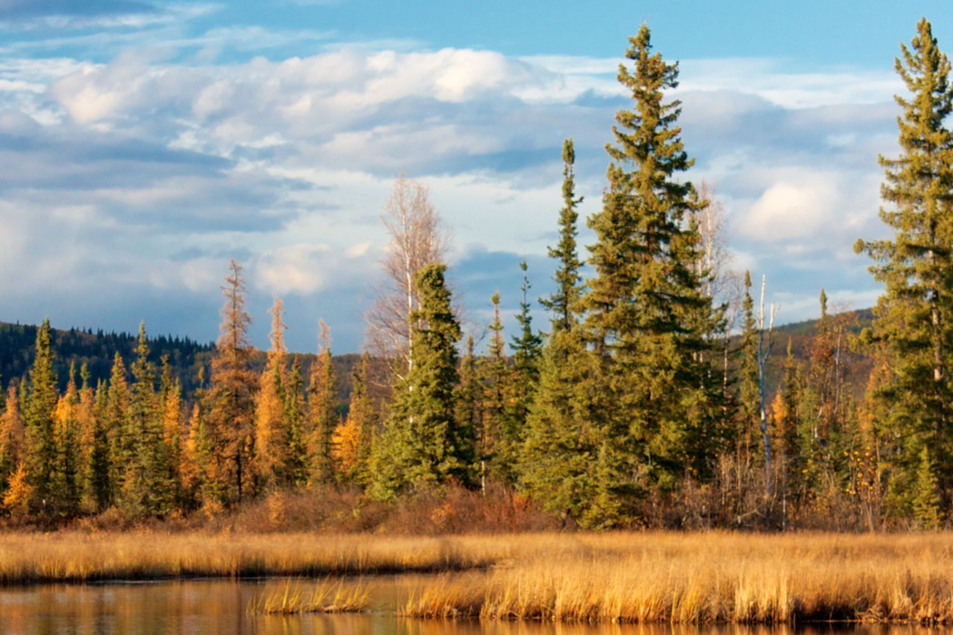 Registration and Call for Proposals Open for the 2026 Seven Generations Intertribal Leadership Summit
