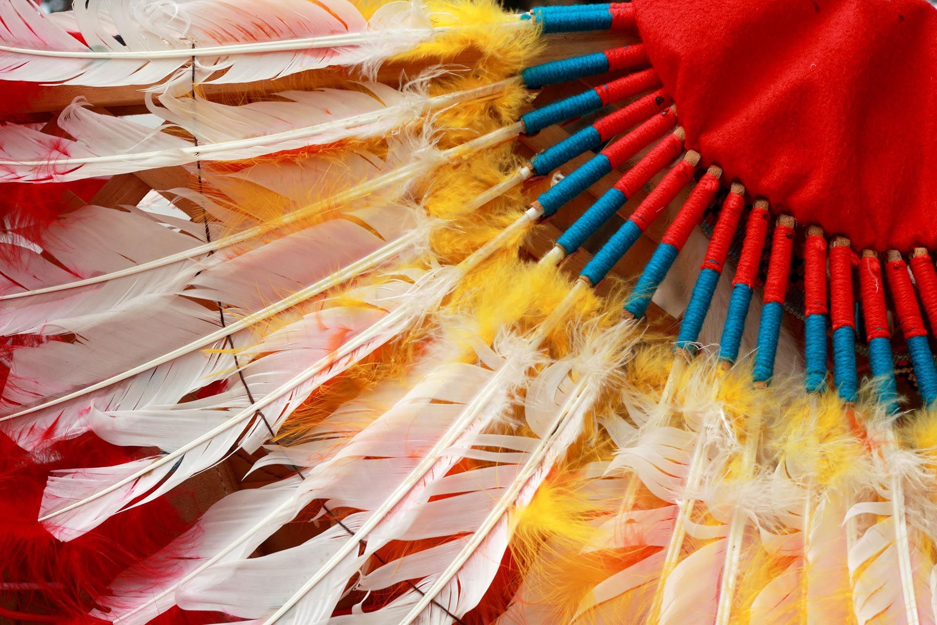 colorful feather