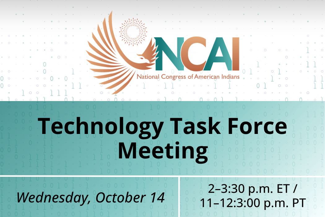 Technology Task Force Quarterly Meeting Webinar