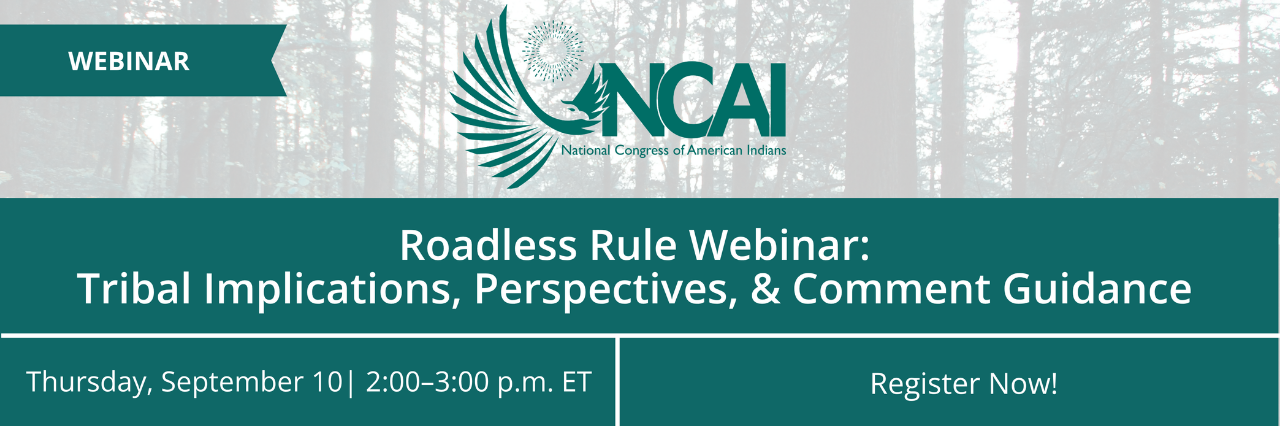 Roadless Rule Webinar: Tribal Implications, Perspectives, and Comment Guidance