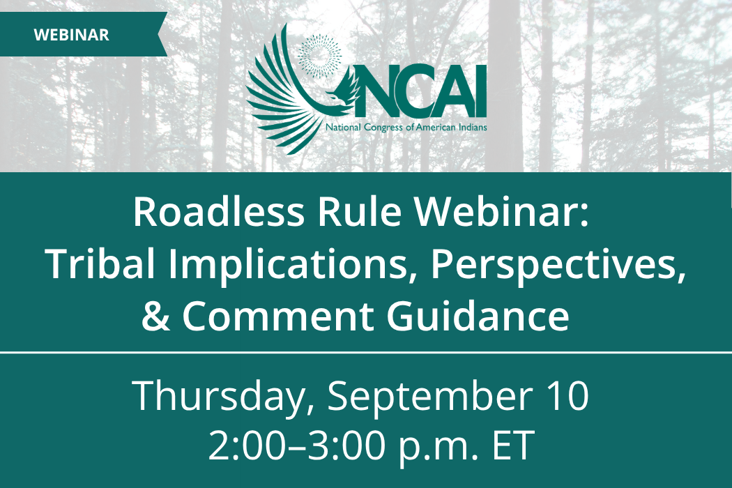 Roadless Rule Webinar: Tribal Implications, Perspectives, and Comment Guidance 