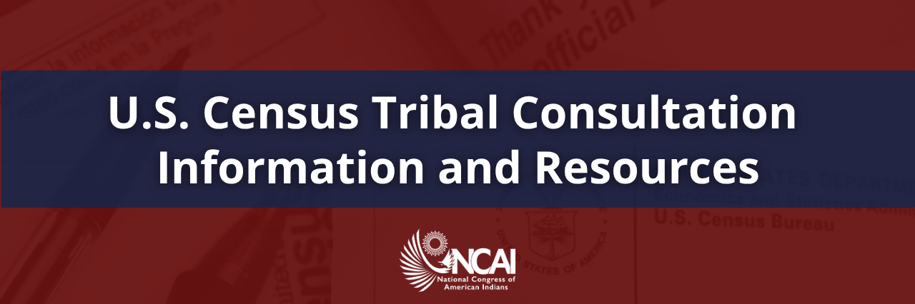 U.S. Census Tribal Consultation and Written Comment Period