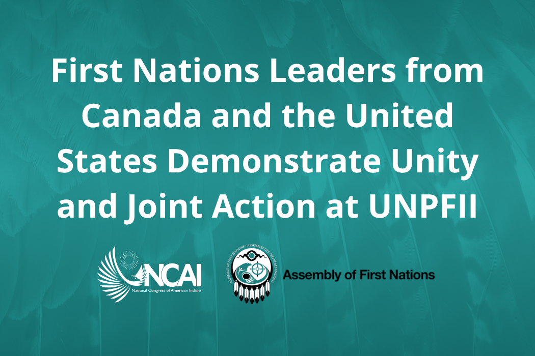 First Nations Leaders from Canada and the United States Demonstrate Unity and Joint Action at UNPFII