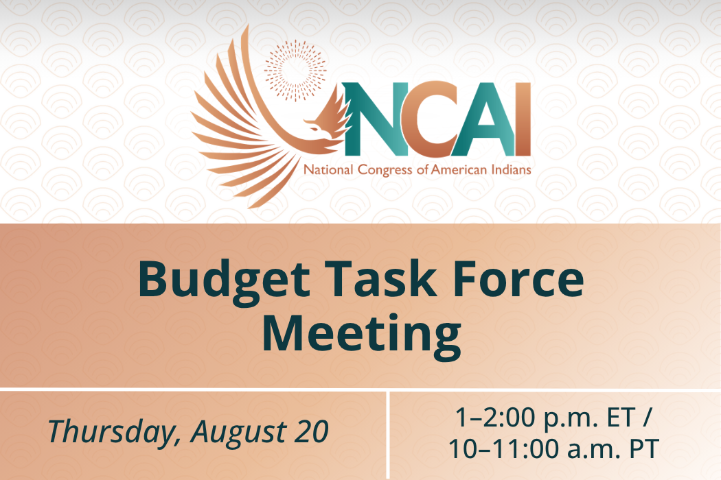 Budget Task Force Meeting