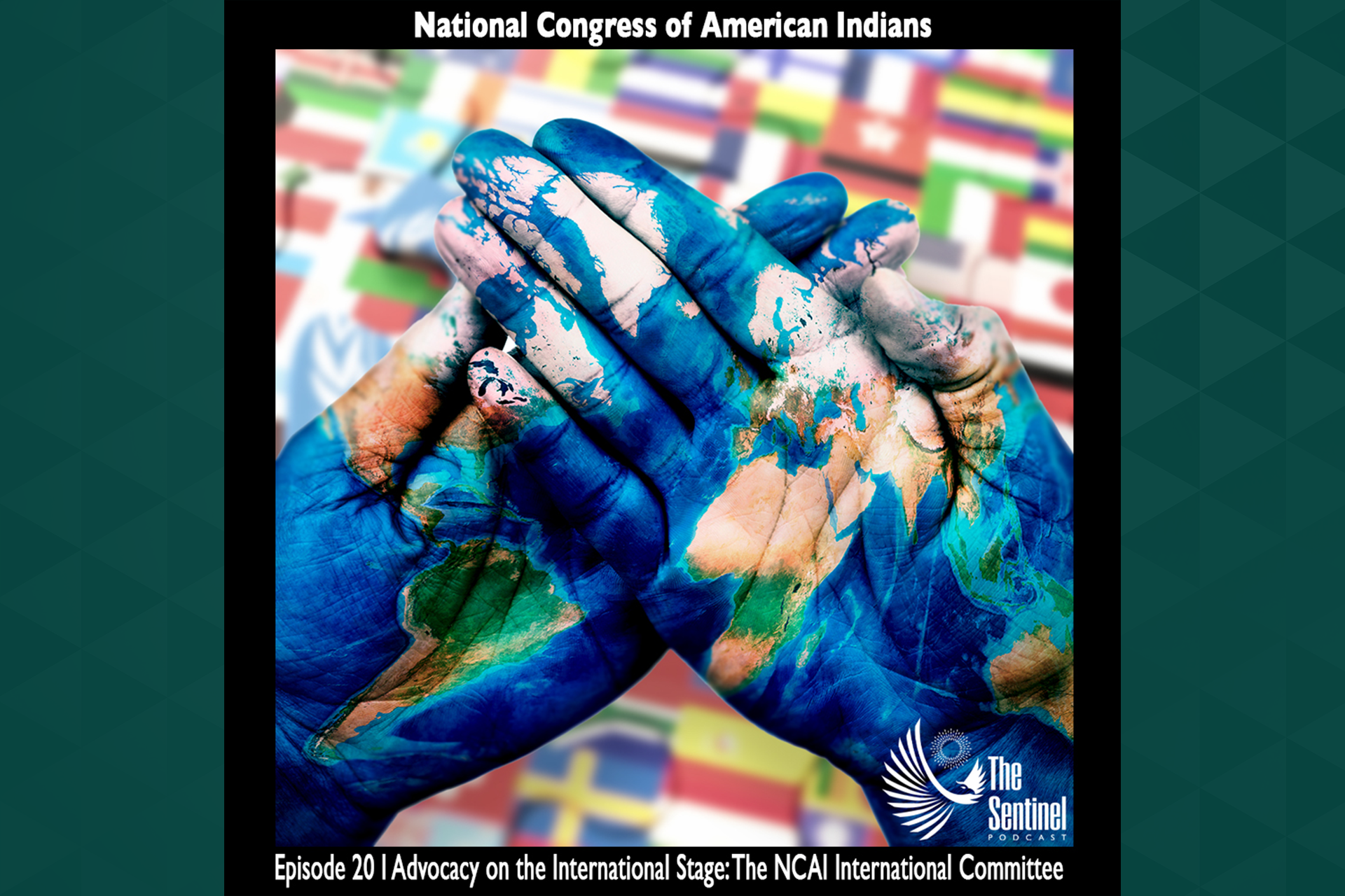 Advocacy on the International Stage: The NCAI International Committee