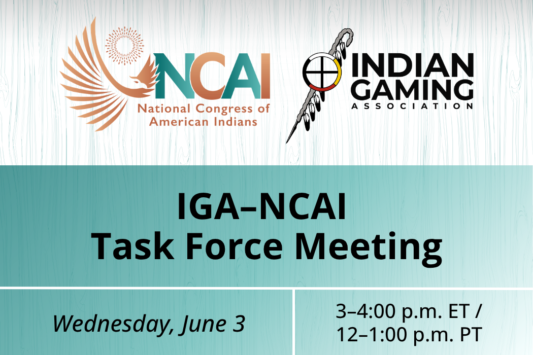IGA–NCAI Task Force Meeting