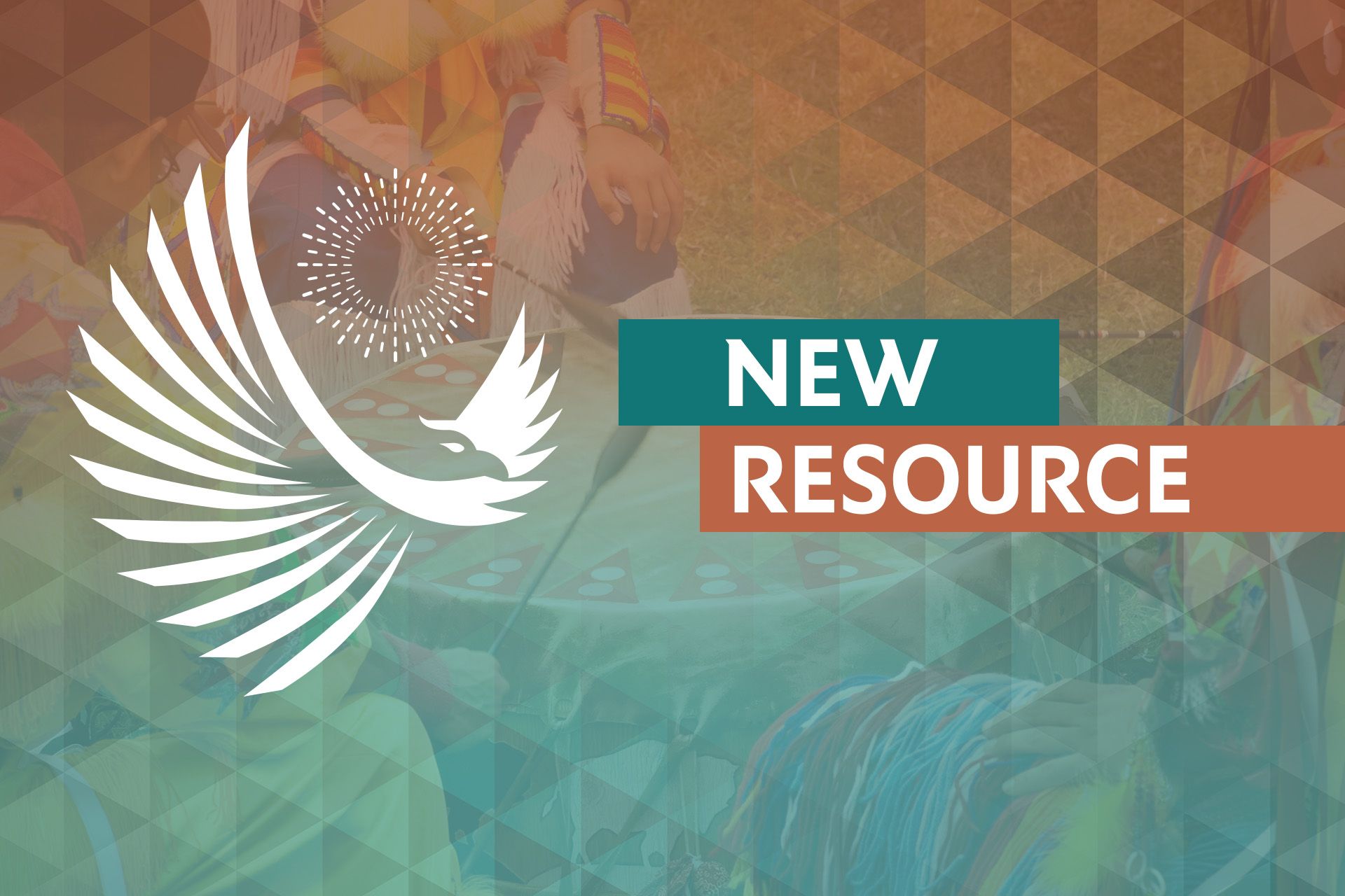 Explore Vital Resources for Indian Country: New Coalition Hub Now Live!